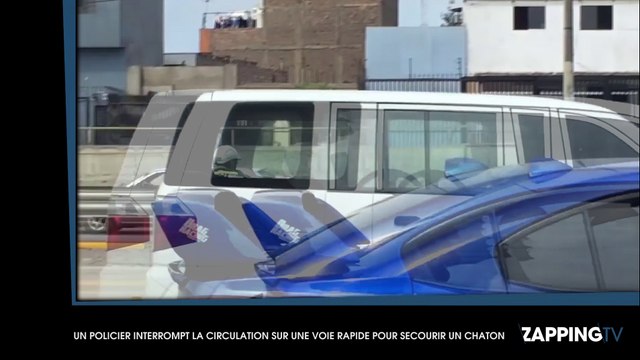 Un policier interrompt la circulation sur la voie rapide pour sauver un chaton (vidéo)