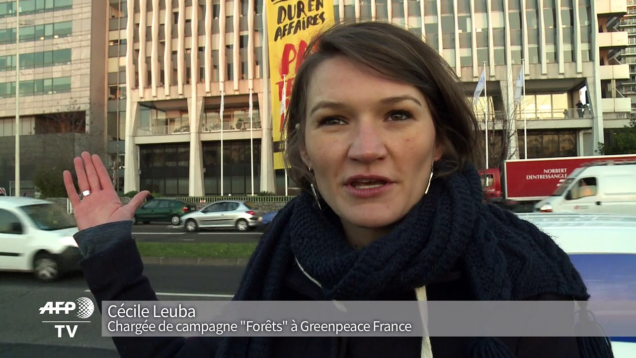 Déforestation: banderole de Greenpeace sur le siège de Bolloré