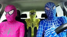 Blue Spiderman w/ Pink Spidergirl Dancing in a Car - Superhero Funny Movie in Real Life
