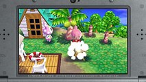 Animal Crossing HAPPY HOME DESIGNER amiibo card action on the Nintendo 3DS