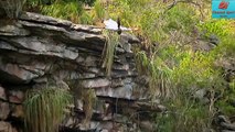 Клифф дайвинг- Нереально красивые прыжки в воду- Прыжки со скал