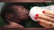 Baby gorilla born via rare cesarean section by human OBGYN