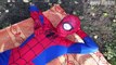 Spiderman Vs Venom Vs Tigger - Spiderman Dream In Real Life | Superheroes Movie