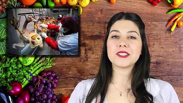 Bu Yiyeceklerin Neden Yasaklandığını Duyunca Şok Olacaksınız