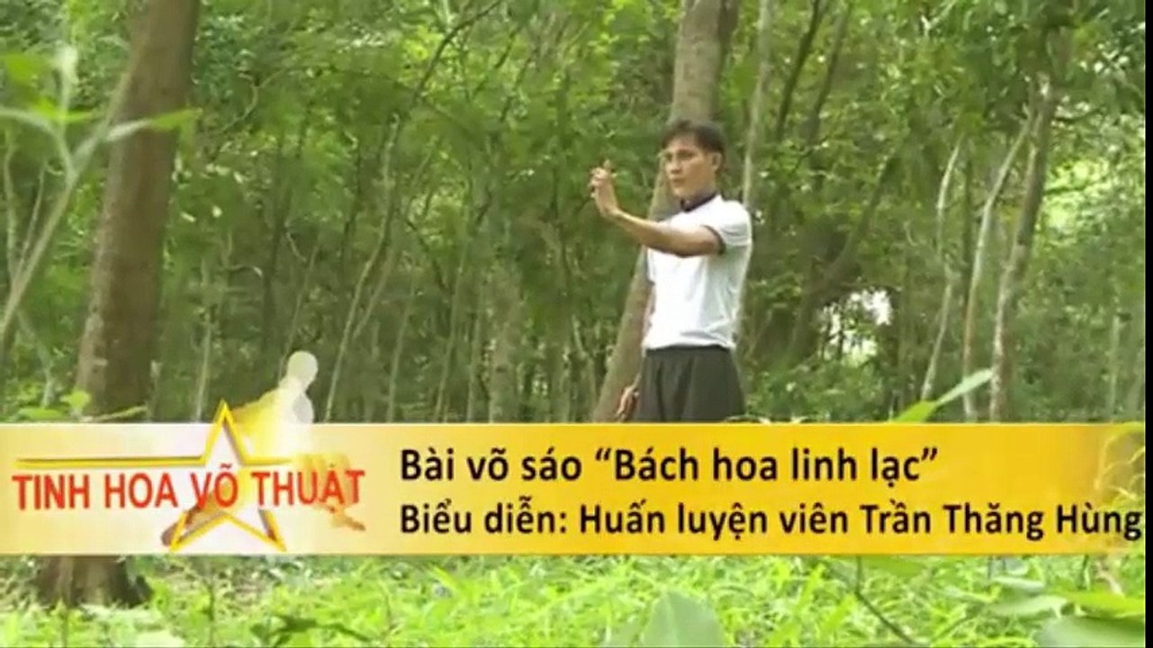 Biễu diễn võ thuật BÁCH HOA LINH LẠC