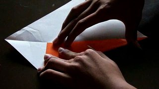 How to Fold an Origami Duck