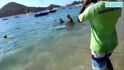 Gizemli yaratık sosyal medyayı ikiye böldü