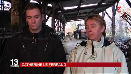 Agriculture : la profession de plus en plus touchée par les suicides