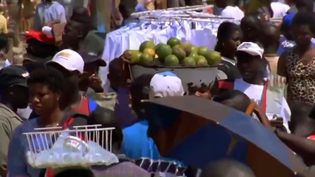 Nature Documentary Compilation