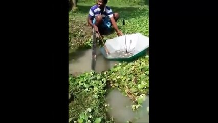 La compilation des techniques de pêche les plus étranges