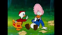 Donald duck cartoons | donald duck & chip and dale cartoon full episode 6 [hd]