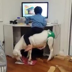 Explanations are needed.