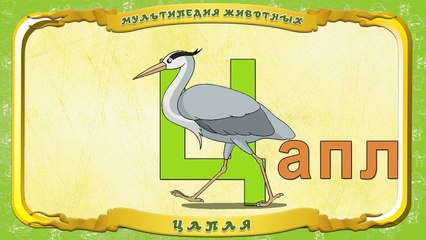 Мультипедия животных. Буква Ц Цапля
