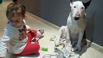 La niña veterinaria que cura a su perro