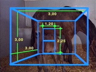 Galops 4 : Préparation aux examens de la FFE