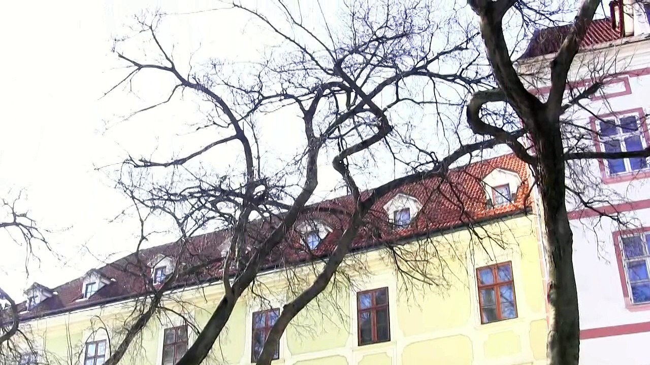 Obnova stromov na Františkánskom a Hlavnom námestí