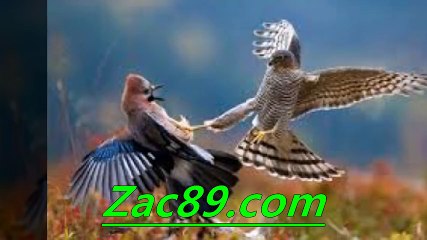 해외배팅사이트 ≡￥≡  Zａｃ８９.ｃｏm ≡￥≡  스포츠토토추천 스포츠토토