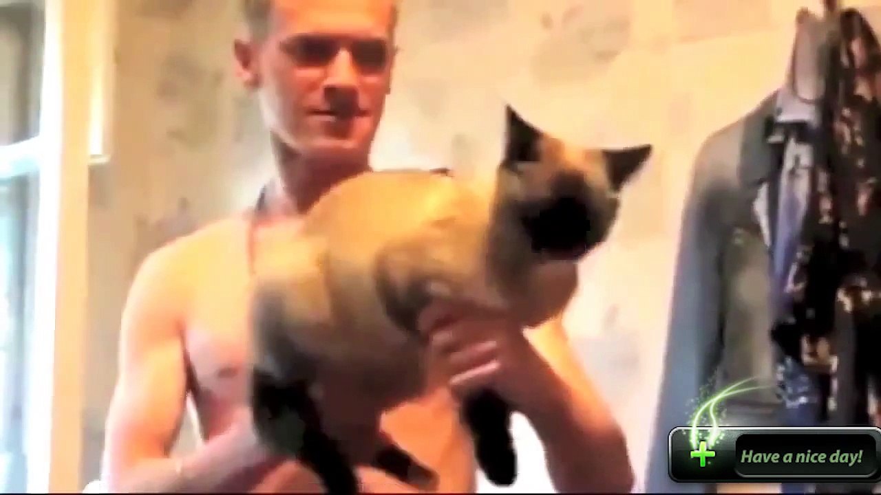 Lol, ve sadece sevimli hayvan benzersiz bir sistem ile iyi eğlenceler. Bir sırıtış.