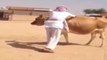 Funny Arabic Man Ka Bull Riding-Must Watch-Top Funny Videos-Top Prank Videos-Top Vines Videos-Viral Video-Funny Fails