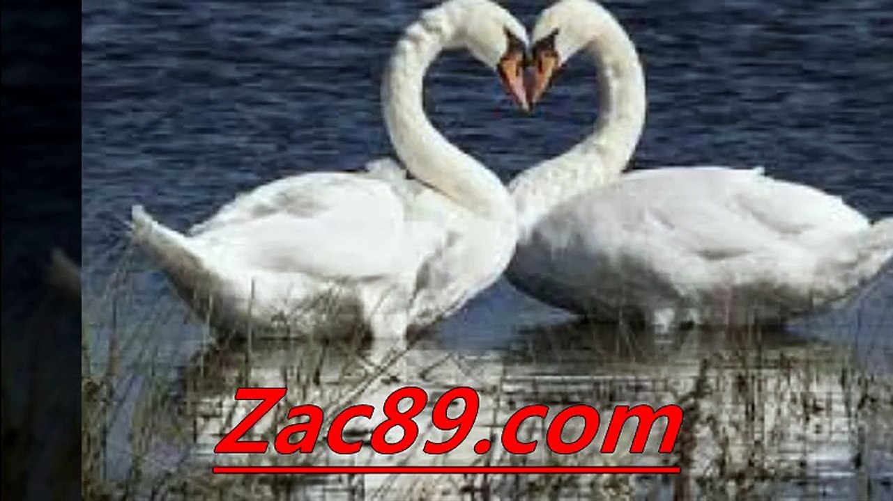 사설배팅사이트 ≡￥≡  Zａｃ８９.ｃｏm ≡￥≡   사설스포츠배팅 안해외안전놀이터추천