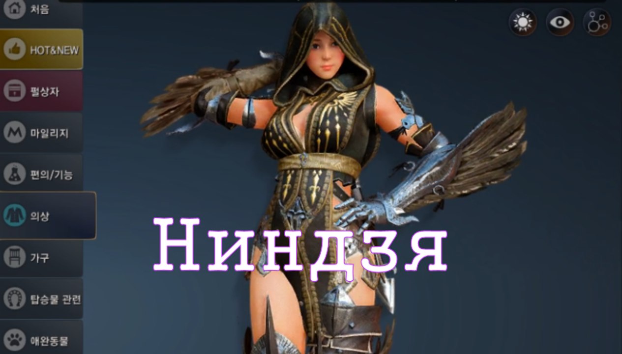 Ниндзя-ж