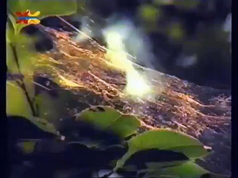 Mittendrin 19 in einer Braunkohlengrube Umweltmagazin mit Peter Lustig