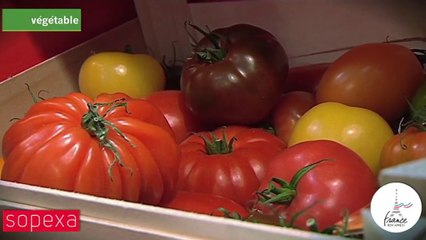 Prince de Bretagne : « En tomate, nous présentons sur Berlin la nouveauté 2016 :  « ma corbeille de tomate » à destination du consommateur »