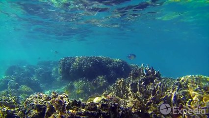 Fiji Vacation Travel Guide ¦ Expedia