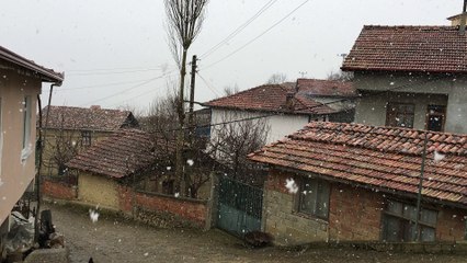 Gökpınar köyü Taşova