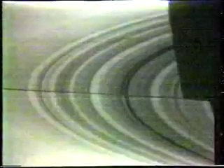 The year 1980 / Jahresrückblick 1980