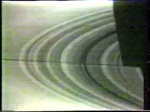 The year 1980 / Jahresrückblick 1980