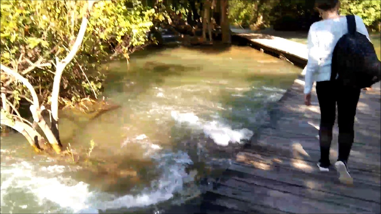 Europareise Teil I (Österreich, Kroatien, Italien)