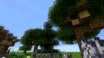 Minecraft: Outdoor Nature Detail Tutorial 1.9 XBOX 360/PS3/PS4/WII U/PE/PC