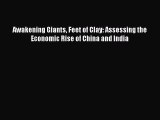 PDF Awakening Giants Feet of Clay: Assessing the Economic Rise of China and India Free Books