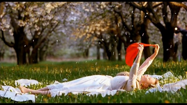 Вадим Казаченко Яблоневый снег