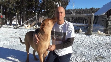 Duck Can't Get Enough Garden Hose Spraying Action