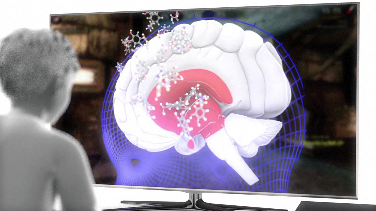 The digital age and its effects on the brain