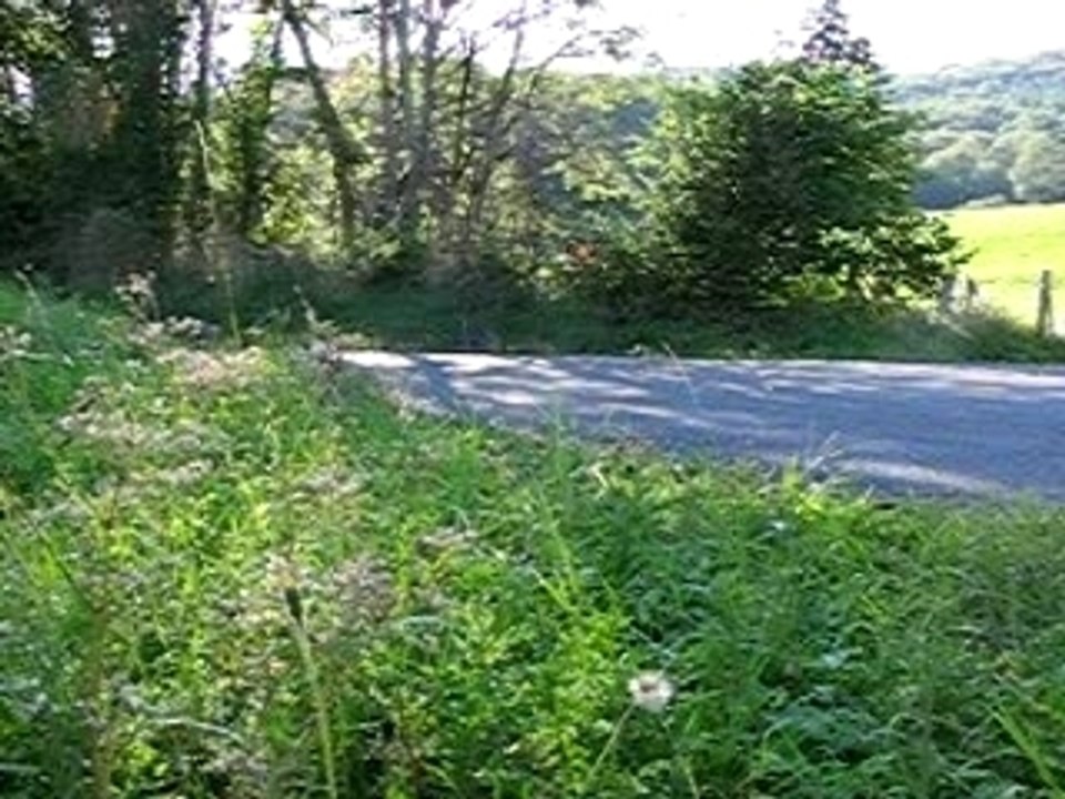 Vidéo de street luge