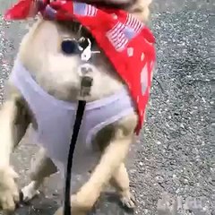 Oliver and Shellie Vine Compilation 2