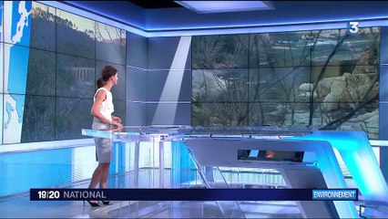 Gard : des habitants contaminés aux métaux lourds