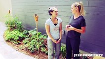 Garden, Gardening, Garden Ideas_ Tips for Making the Most Out of Your Small Space Organic Garden