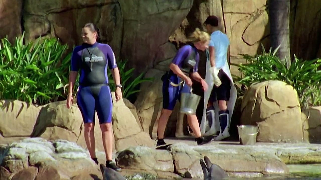 H2o Just Add Water Season 1 Episode 4 Party Girls Short Episode H2o Just Add Water Video Dailymotion