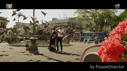 Yaari (Bachaana) HD Video Song - Shafqat Amanat Ali