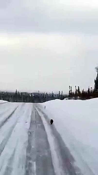 Hare v Marten