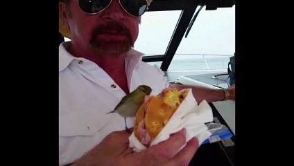 Couples Reveal Their Biggest Pet Peeves