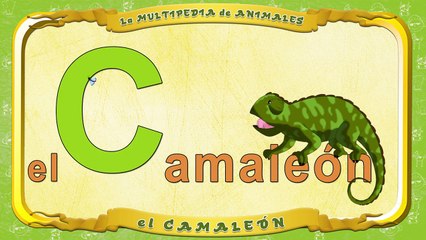 la Multipedia de animales. Letra C el Camaleón