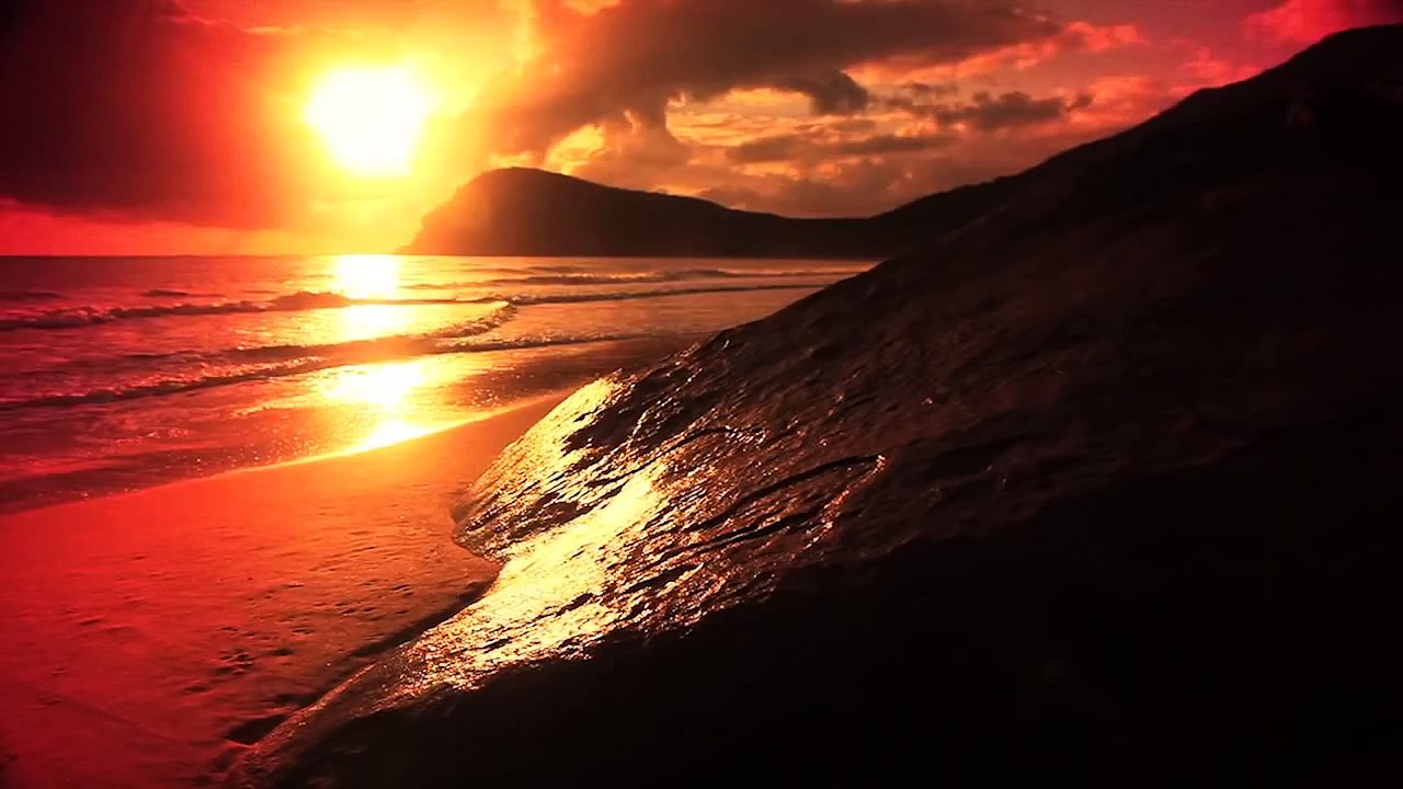 Swim Daily, Michelle Vawer Behind The Scenes