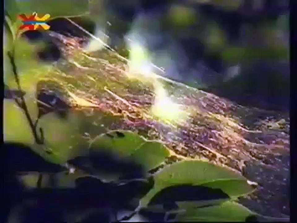 Mittendrin 09 in einer Höhle Umweltmagazin mit Peter Lustig