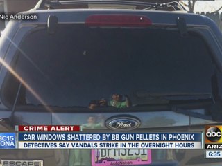 Download Video: Car windows shattered by BB gun pellets in Phoenix