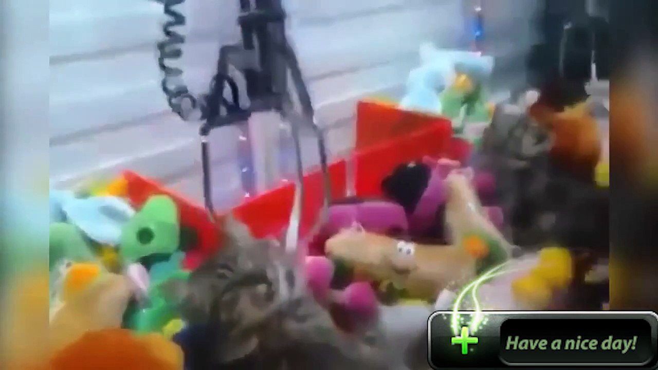 Sadece zarar bak şok, olaylar, aptal Uygulama.